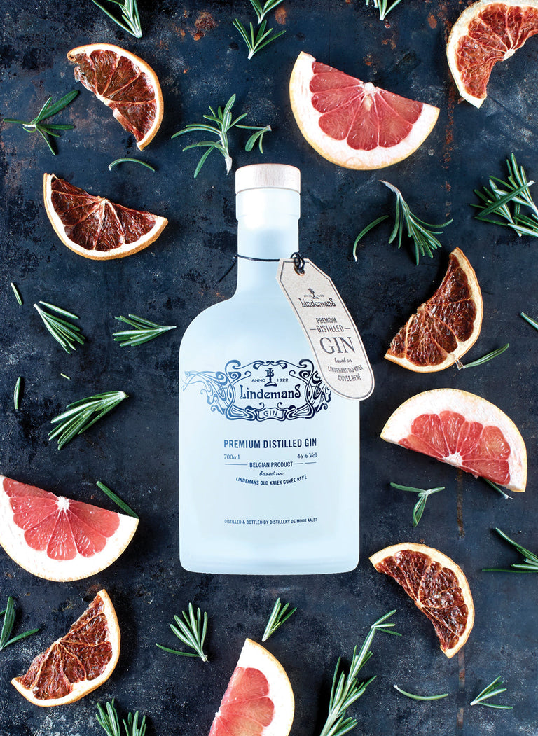 Classic Gin and Tonic cocktail