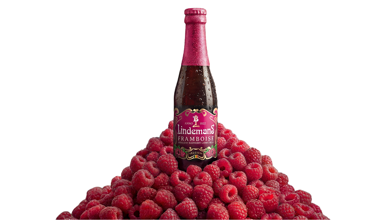 Discover a deliciously different type of fruit beer. front image