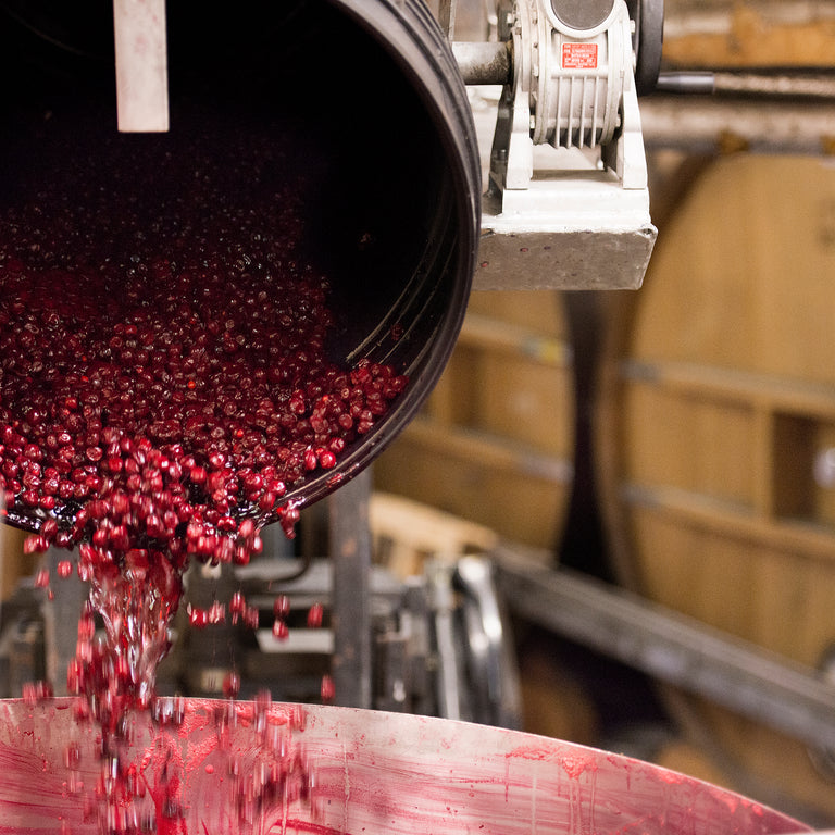 <span>Expertly blended fruit beers</span> require passion, patience, and many years of experience