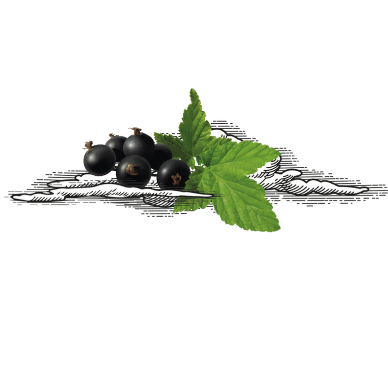 Cassis Cooler cocktail