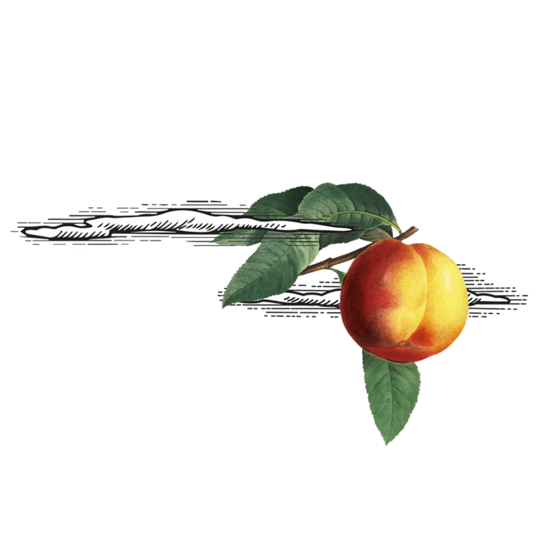 Virgin Pecheresse mocktail