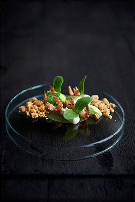 Large brown shrimp in an apple jelly with timut pepper, avocado, cream of horseradish and a peanut crumble